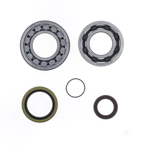 Kit Revisione Albero