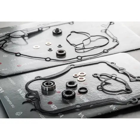 Serie Guarnizioni Po