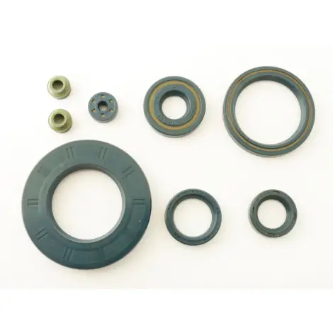 Serie Paraolio Motor
