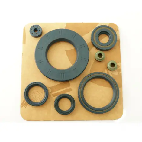 Serie Paraolio Motor