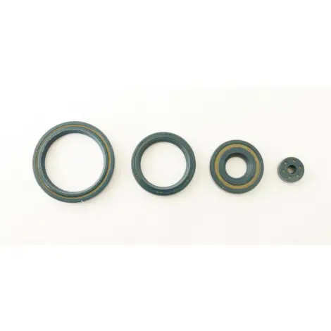 Serie Paraolio Motor