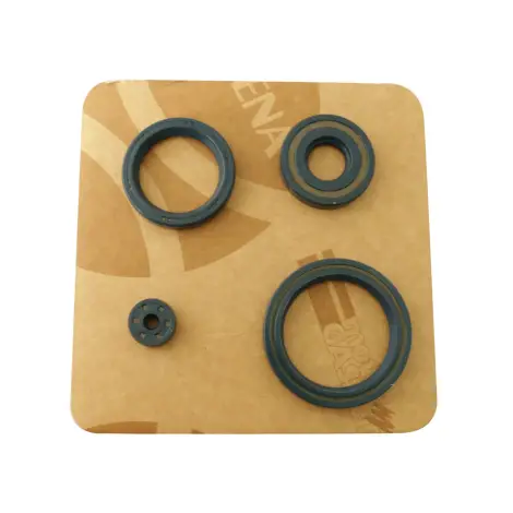 Serie Paraolio Motor