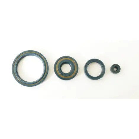 Serie Paraolio Motor