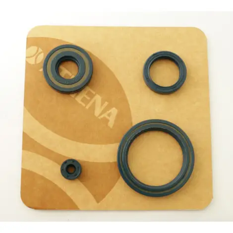 Serie Paraolio Motor