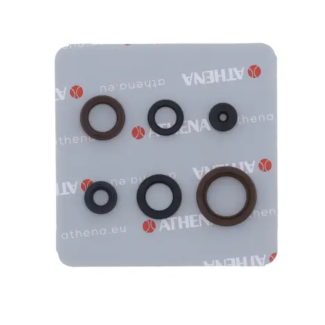 Serie Paraolio Motor