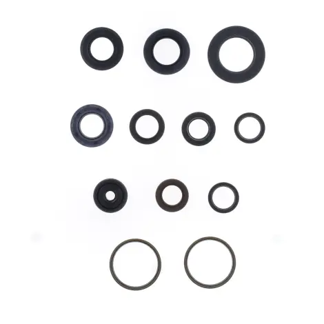 Serie Paraolio Motor