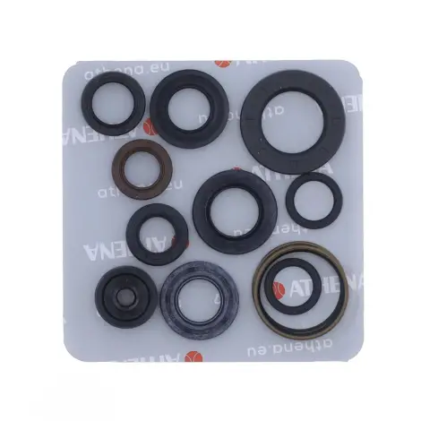 Serie Paraolio Motor