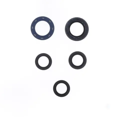 Serie Paraolio Motor