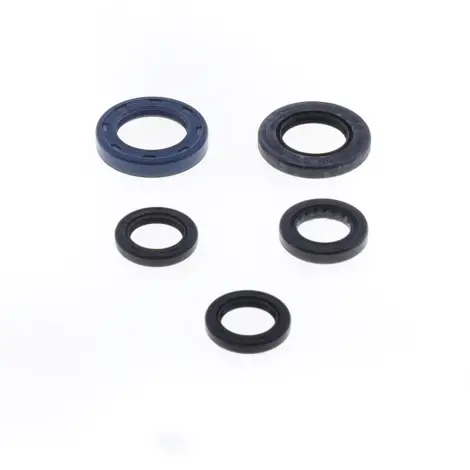 Serie Paraolio Motor