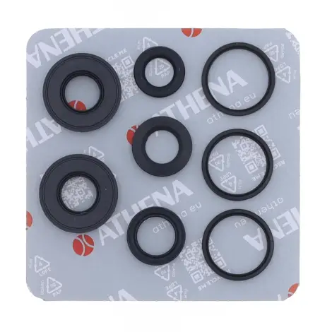 Serie Paraolio Motor