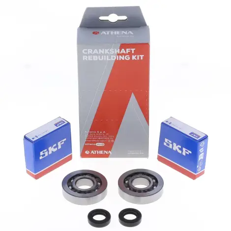 Kit Revisione Albero