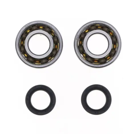 Kit Revisione Albero