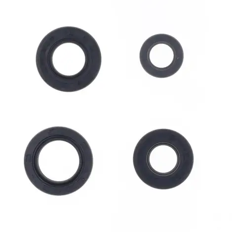 Serie Paraolio Motor
