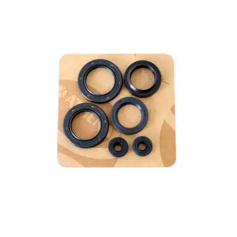 Serie Paraolio Motor