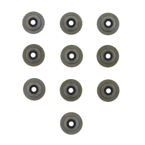 Serie Paraolio Guida