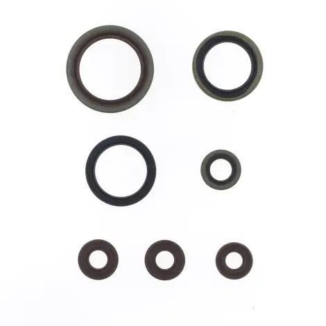 Serie Paraolio Motor