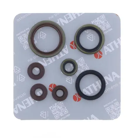 Serie Paraolio Motor
