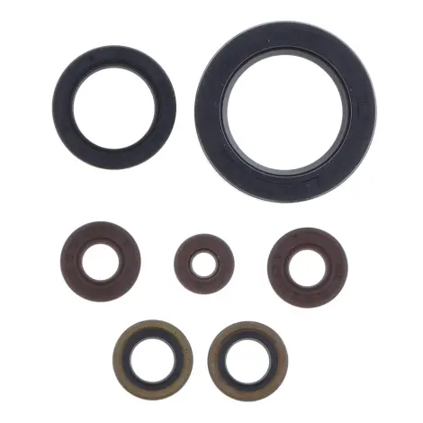 Serie Paraolio Motor