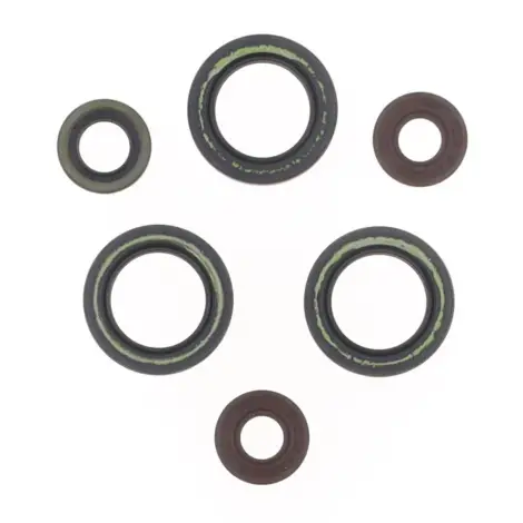 Serie Paraolio Motor