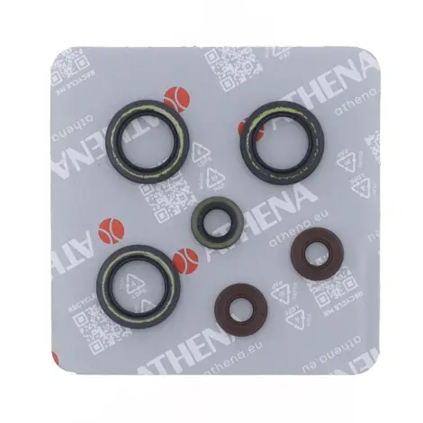 Serie Paraolio Motor