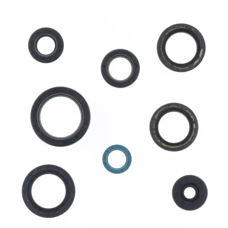 Serie Paraolio Motor