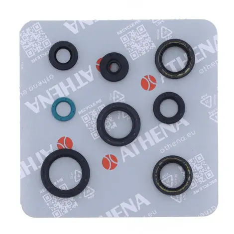 Serie Paraolio Motor