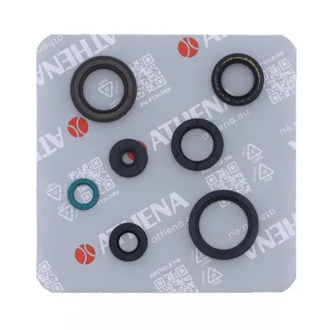 Serie Paraolio Motor