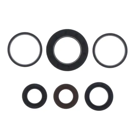 Serie Paraolio Motor