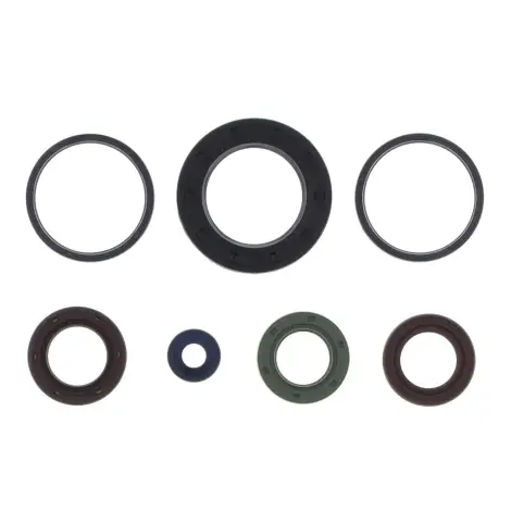 Serie Paraolio Motor
