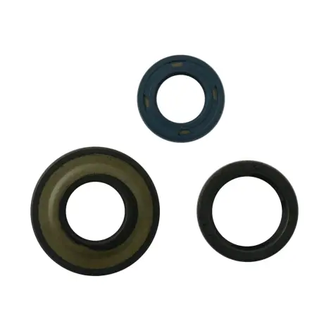 Serie Paraolio Motor