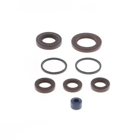 Serie Paraolio Motor