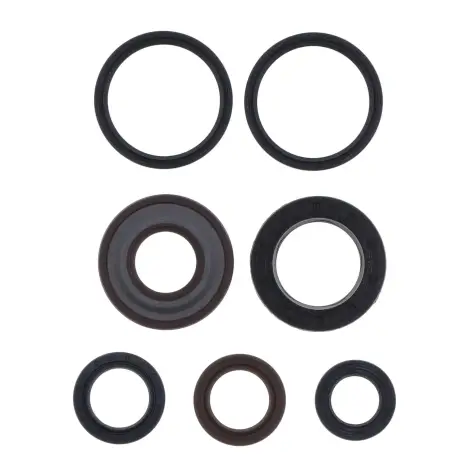 Serie Paraolio Motor