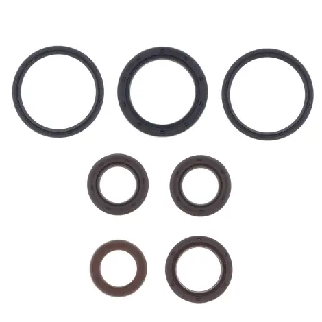 Serie Paraolio Motor
