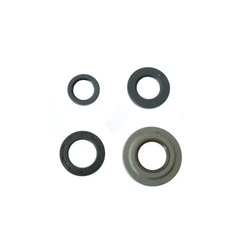 Serie Paraolio Motor