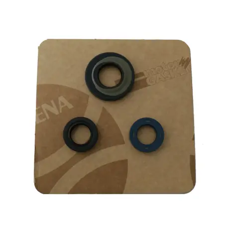 Serie Paraolio Motor