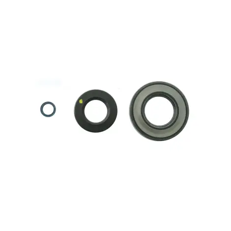 Serie Paraolio Motor
