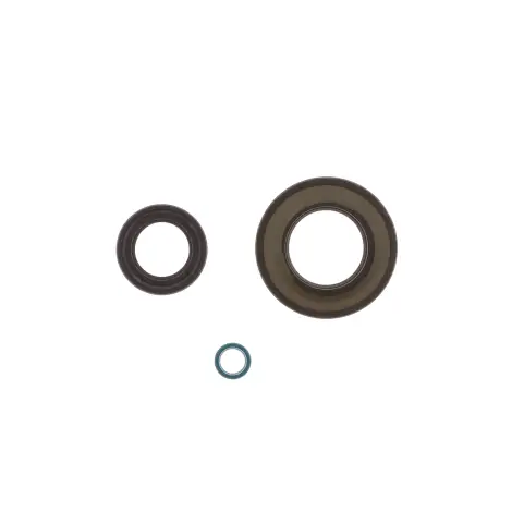 Serie Paraolio Motor