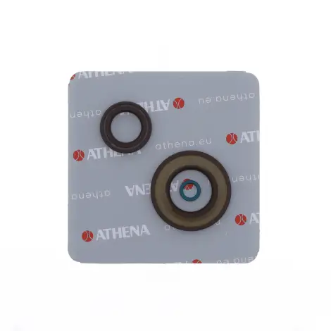 Serie Paraolio Motor