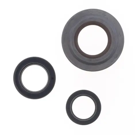 Serie Paraolio Motor