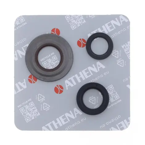 Serie Paraolio Motor