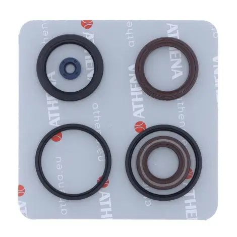 Serie Paraolio Motor