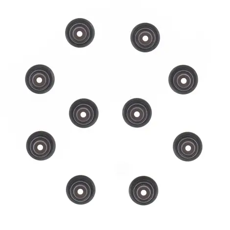 Serie Paraolio Guida