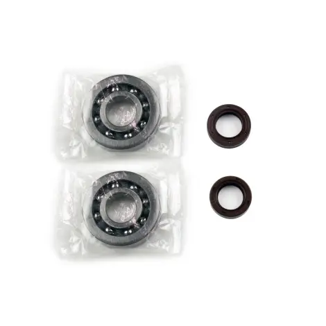 Kit Revisione Albero