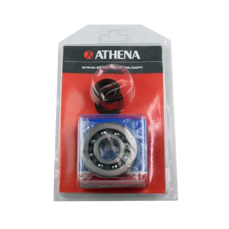 Kit Revisione Albero
