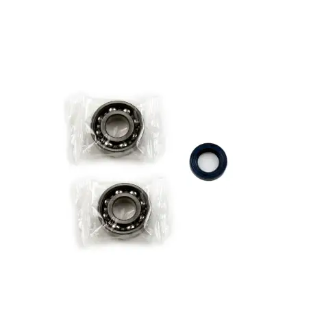 Kit Revisione Albero