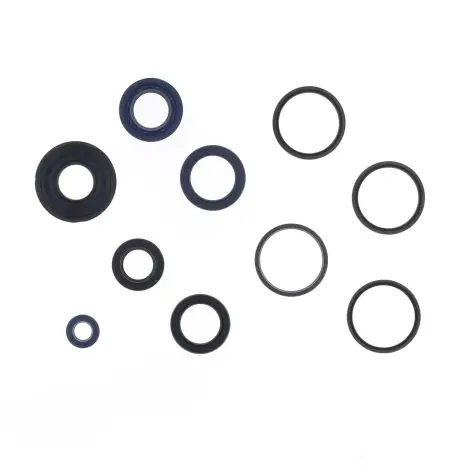 Serie Paraolio Motor