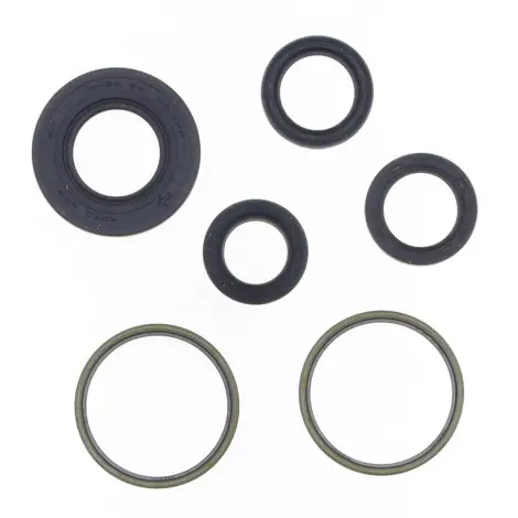 Serie Paraolio Motor