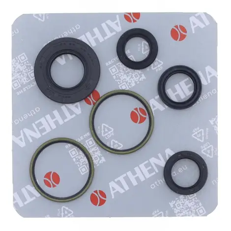 Serie Paraolio Motor