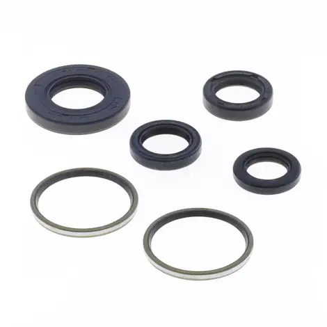 Serie Paraolio Motor