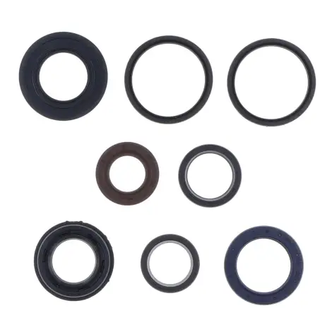 Serie Paraolio Motor